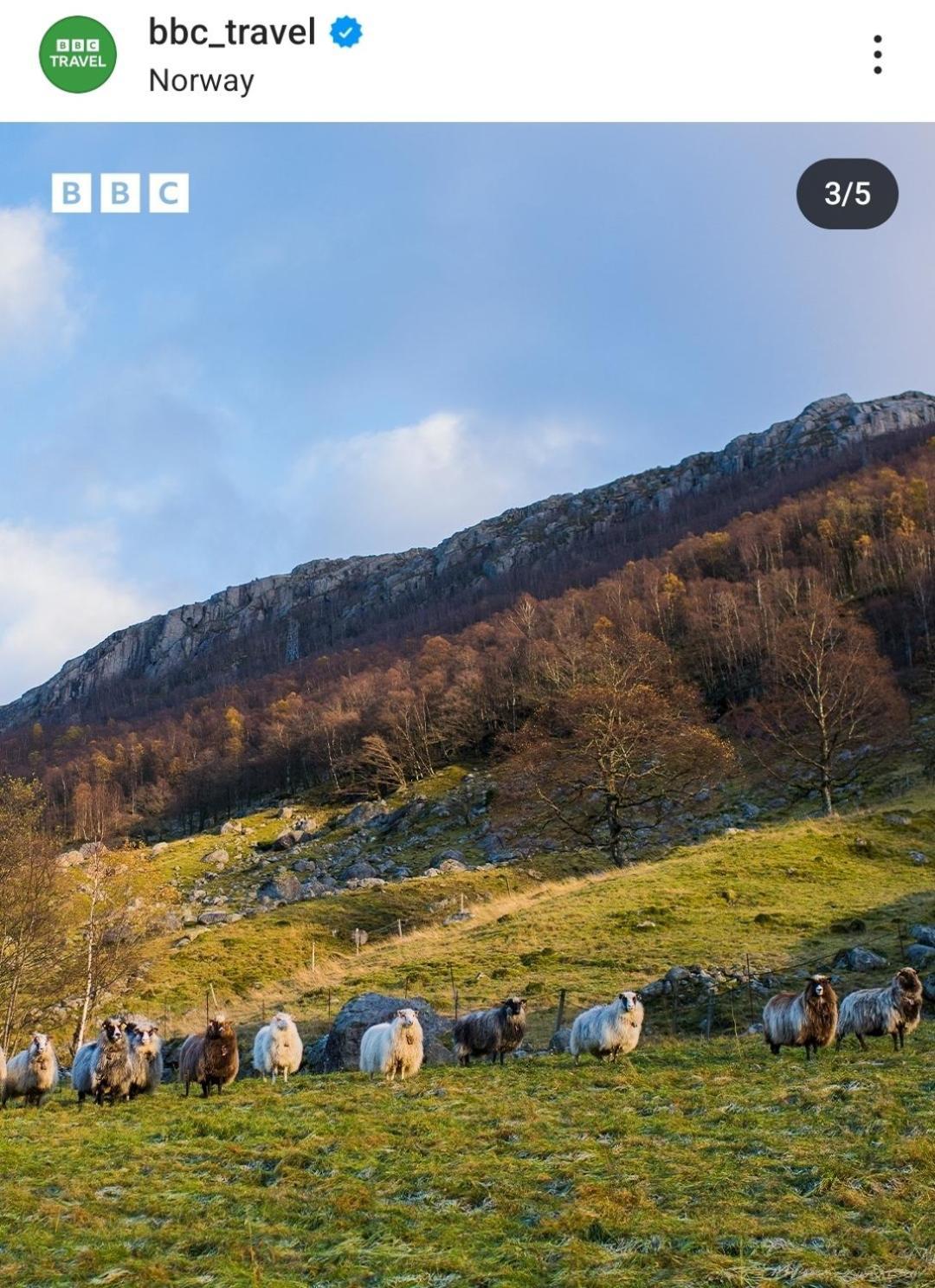 Hytte Ved Preikestolen Forsand Esterno foto